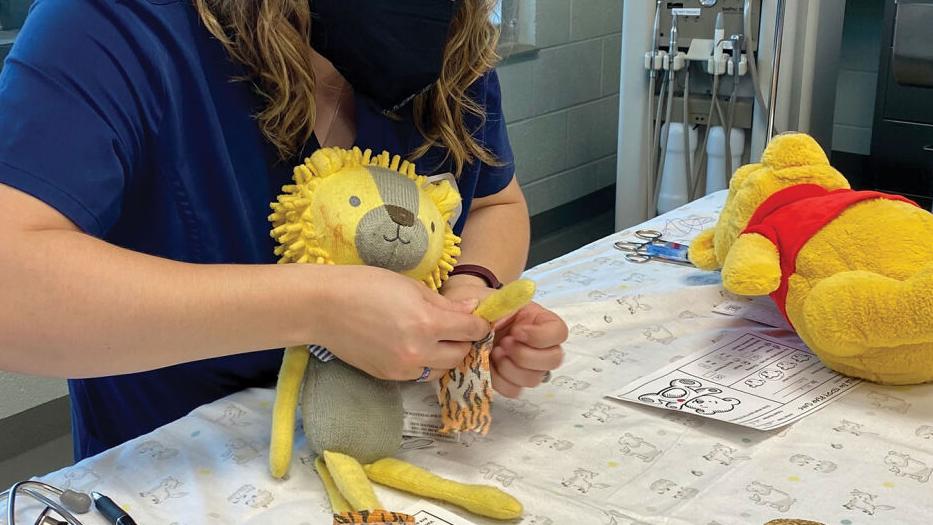 Teddy Bear Clinic at the Nashville Zoo